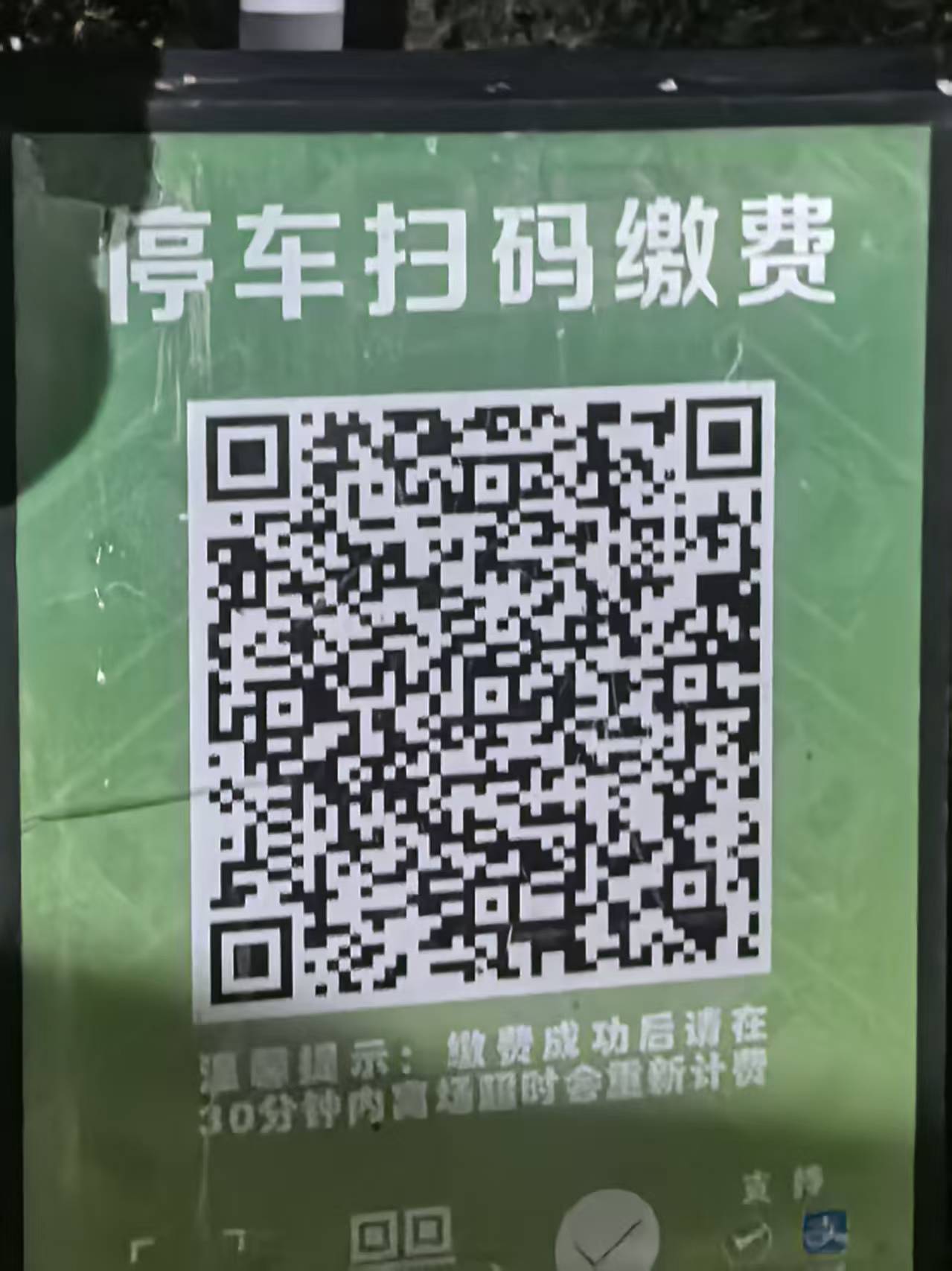 深圳湾公园2号停车场